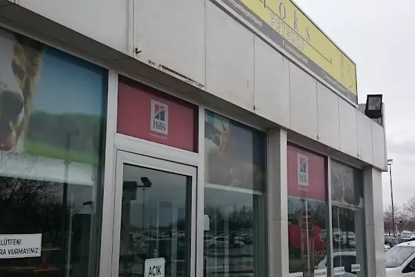 İzmit Kocaeli - Green Petshop - Resim 16