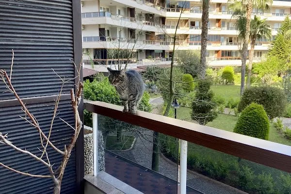 Riverside Resort Sitesi - Resim 1