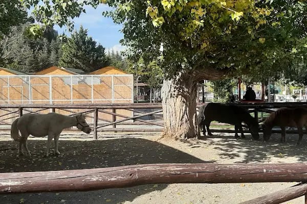 Ceylanlar Parkı - Resim 1