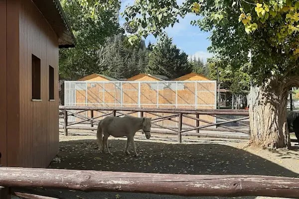Ceylanlar Parkı - Resim 6