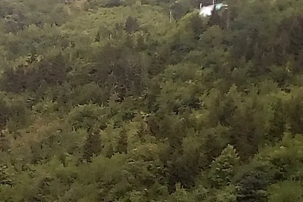 İPEKYOLU PARK HOTEL - Resim 13