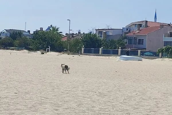 Safir Beach Hotel - Resim 7