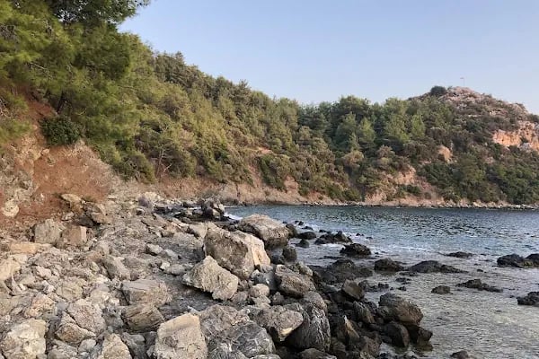 Yakamoz Pansiyon Mazı - Resim 20