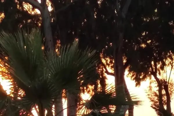 Oasis Apart - Resim 3