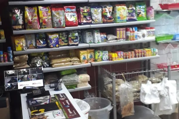 PATİM Pet Market - Resim 4