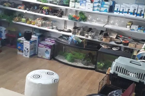 PATİM Pet Market - Resim 10