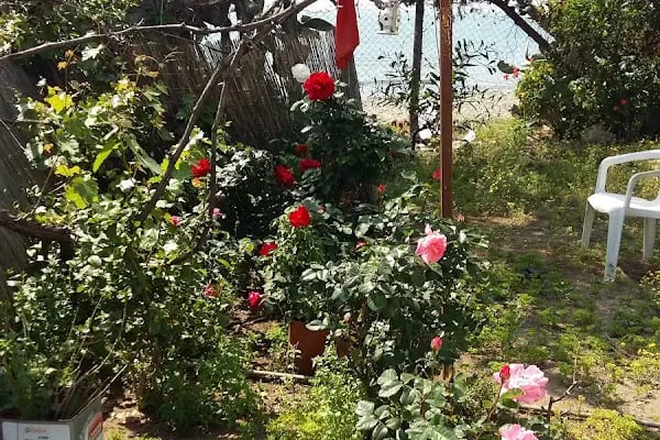 Tömük Tatil Sitesi - Resim 6
