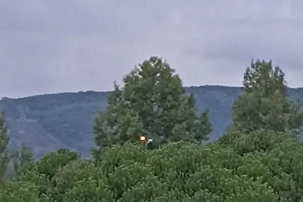 Yenice 19 Mayıs İlköğretim Okulu - Resim 13