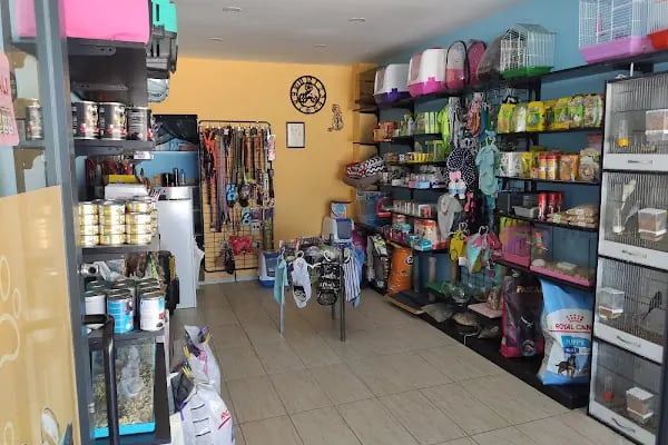 Mamamia Pet Market - Pet Kuaför - Resim 2