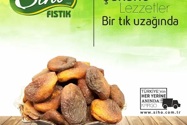 Şiho Fıstık - Resim 17