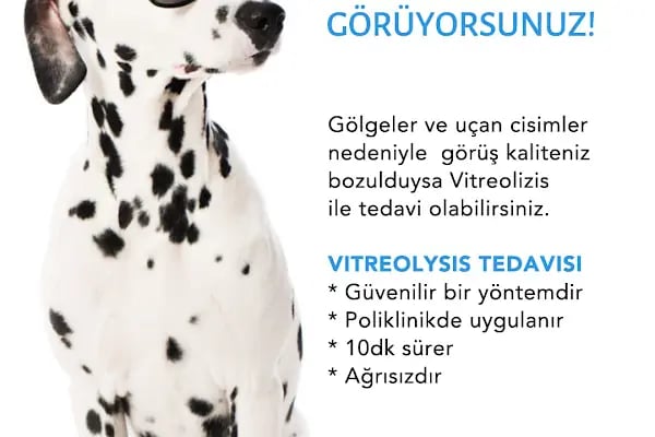 Dr ilker Biçer Göz Hastalıkları Uzmanı - Resim 10