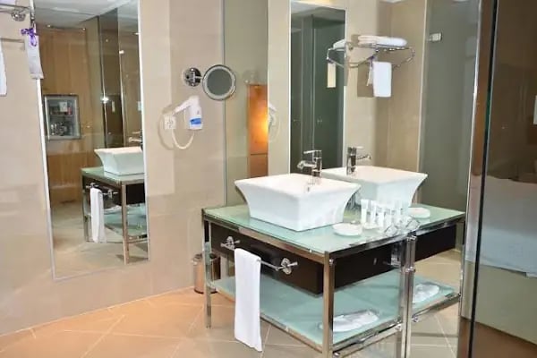 Anemon Malatya Otel - Resim 4