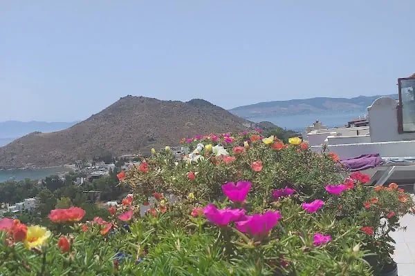 Karaincir Sitesi - Resim 15