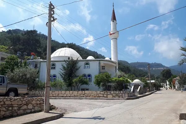 Boldağ Cami - Resim 2