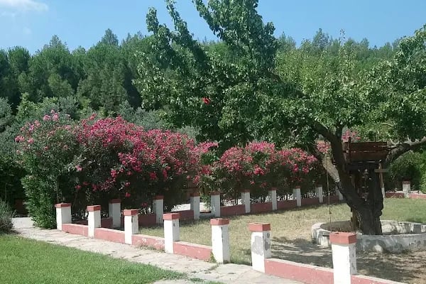 Nuri'nin Yeri Urla - Resim 16