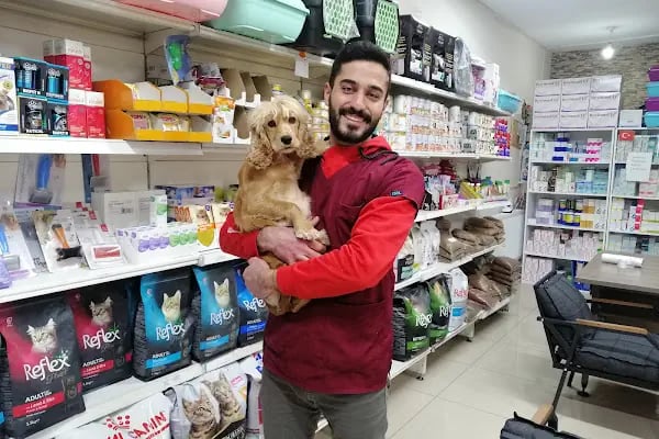 AKYURT YAKIN VETERİNER KLİNİĞİ -ANKARA AKYURT VETERİNER KLİNİĞİ - Resim 14