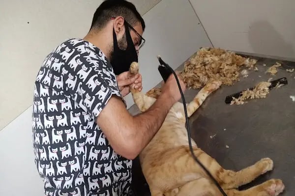 AKYURT YAKIN VETERİNER KLİNİĞİ -ANKARA AKYURT VETERİNER KLİNİĞİ - Resim 4