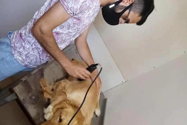 AKYURT YAKIN VETERİNER KLİNİĞİ -ANKARA AKYURT VETERİNER KLİNİĞİ - Resim 7