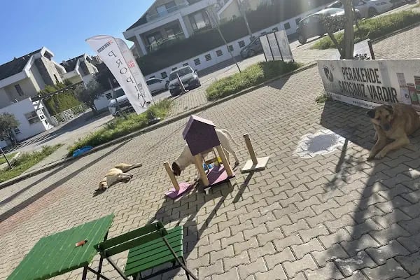 Kumla Pet Shop - Resim 20