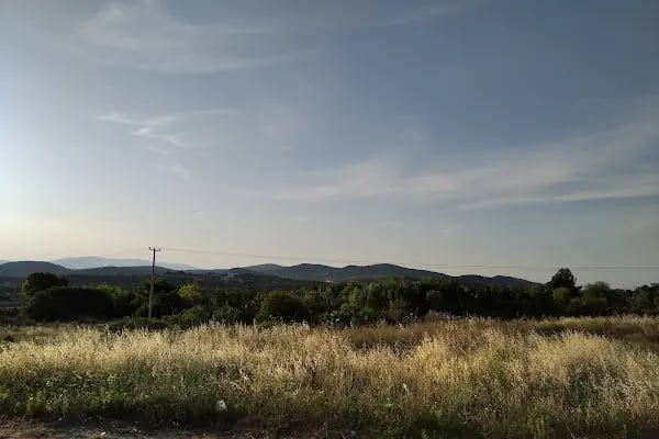 Urla Otogarı - Resim 12
