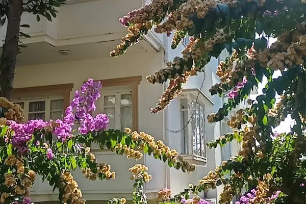 Sahip Paşa Köşkü (Dudaktan Kalbe dizisi) - Resim 5