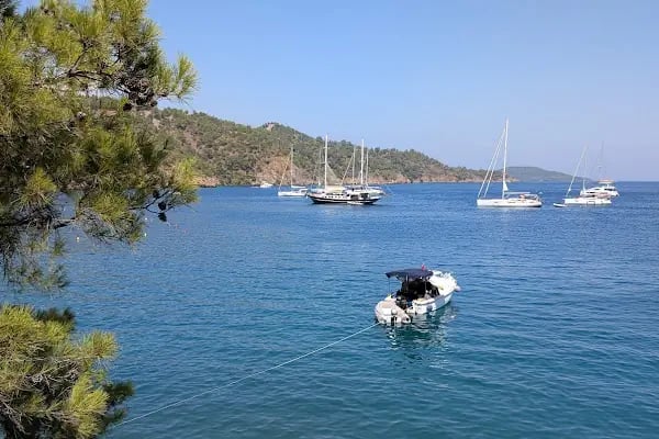 BOYNUZBUKU RESTAURANT &amp; Parasailing - Resim 15