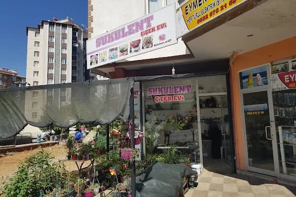 Sukulent çiçek evi - Resim 2