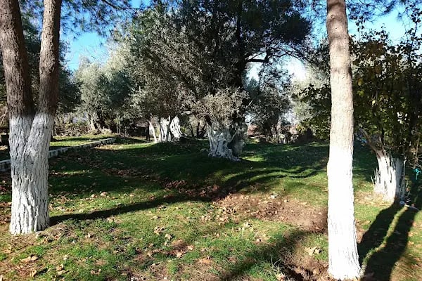 Beydağ - Resim 13