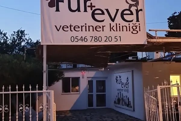 Fur + ever Veteriner Acil 7/24 Bodrum(Turgutreis)Köpek Kedi Evcil Hayvan Doktoru - Resim 3