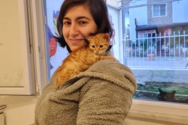 Fur + ever Veteriner Acil 7/24 Bodrum(Turgutreis)Köpek Kedi Evcil Hayvan Doktoru - Resim 8