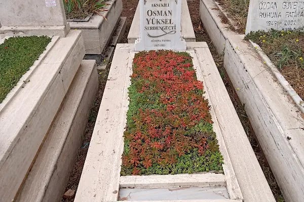 Osman Yüksel Serdengeçti Kabri - Resim 2