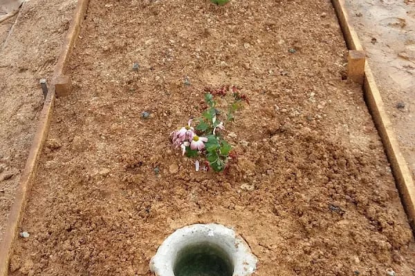 Arnavutköy Mezarlıklar Müdürlüğü - Resim 15