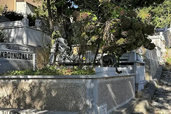 Arnavutköy Mezarlıklar Müdürlüğü - Resim 12