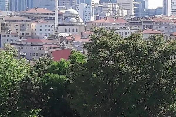 Osman Sağnak Cami - Resim 11