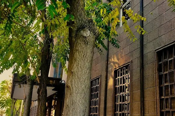 Merkez Bankası Ankara Şubesi - Resim 13