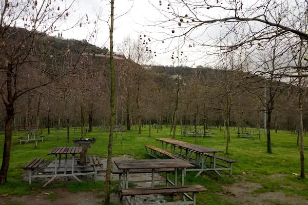 Adagöl Cafe Restaurant - Resim 1