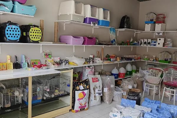 GÜRBÜZ PETSHOP - Resim 5