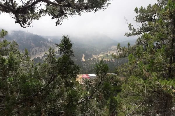 Şahin Tepesi Kahvaltı ve Restourant &amp; Bungalov evleri - Resim 6