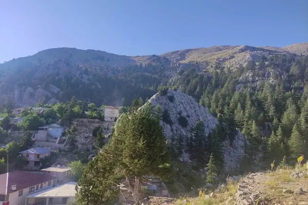 Şahin Tepesi Kahvaltı ve Restourant &amp; Bungalov evleri - Resim 12