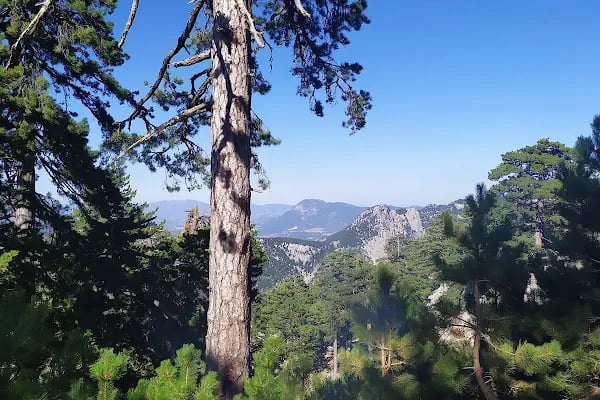 Şahin Tepesi Kahvaltı ve Restourant &amp; Bungalov evleri - Resim 14