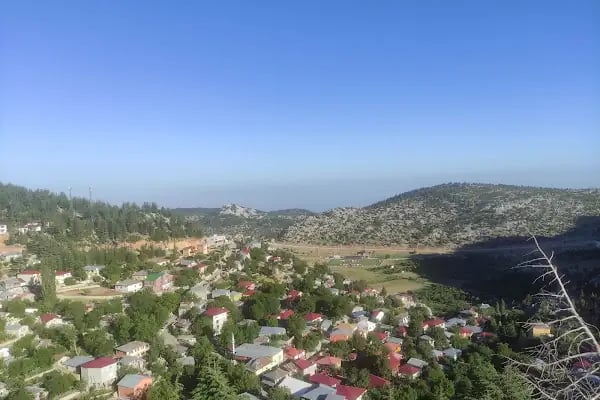 Şahin Tepesi Kahvaltı ve Restourant &amp; Bungalov evleri - Resim 3