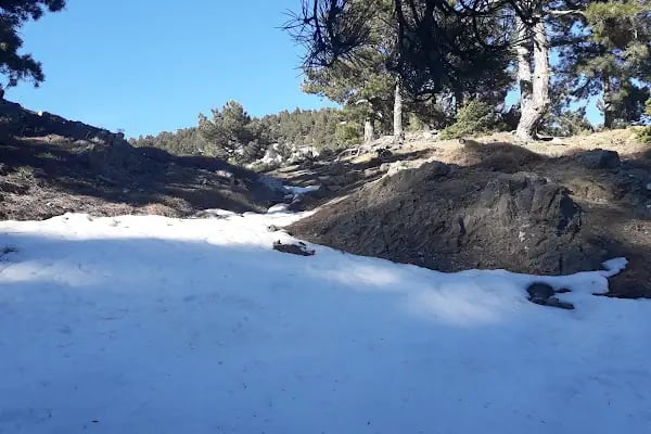 Şahin Tepesi Kahvaltı ve Restourant &amp; Bungalov evleri - Resim 16