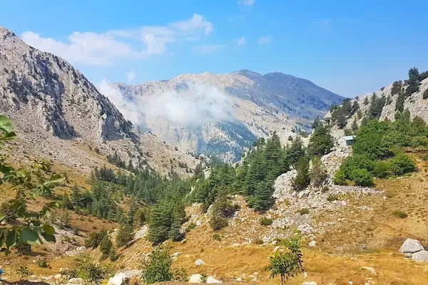 Şahin Tepesi Kahvaltı ve Restourant &amp; Bungalov evleri - Resim 8