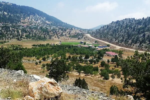 Şahin Tepesi Kahvaltı ve Restourant &amp; Bungalov evleri - Resim 2