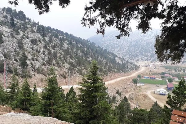 Şahin Tepesi Kahvaltı ve Restourant &amp; Bungalov evleri - Resim 1
