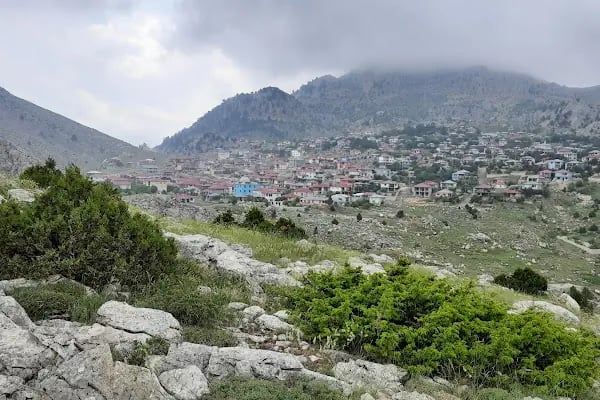 Şahin Tepesi Kahvaltı ve Restourant &amp; Bungalov evleri - Resim 5