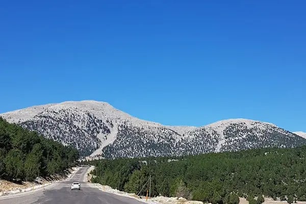 Şahin Tepesi Kahvaltı ve Restourant &amp; Bungalov evleri - Resim 18