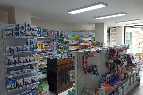 Haycan Akvaryum ve Petshop - Resim 7