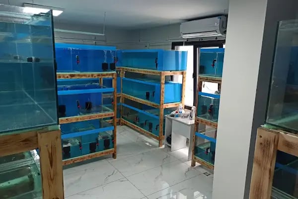 Haycan Akvaryum ve Petshop - Resim 6