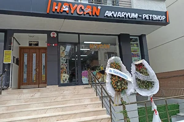 Haycan Akvaryum ve Petshop - Resim 2